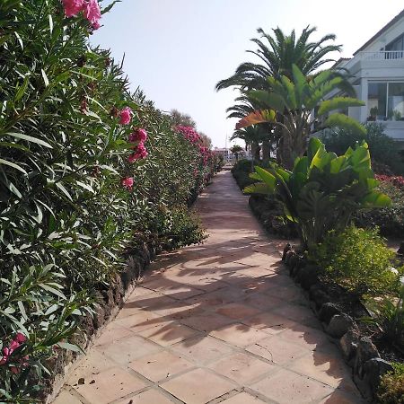 Apartamento La Palmera Amarilla Golf San Miguel de Abona Zewnętrze zdjęcie