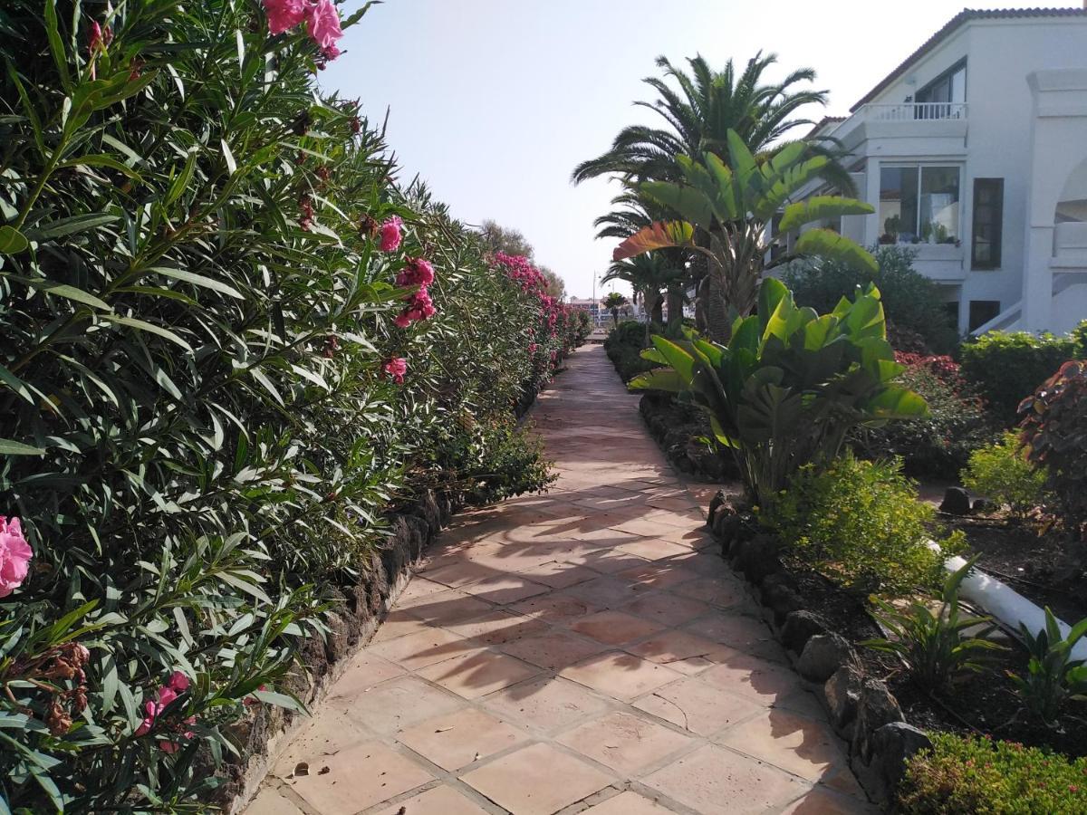 Apartamento La Palmera Amarilla Golf San Miguel de Abona Zewnętrze zdjęcie